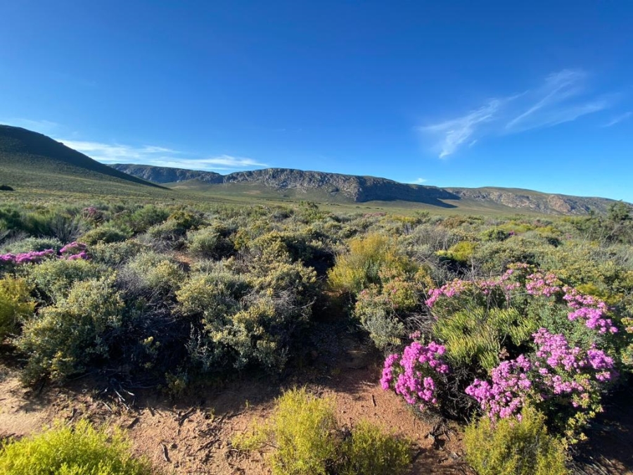 0 Bedroom Property for Sale in Touws River Rural Western Cape